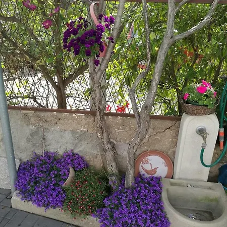 アパート Vesna ザダル