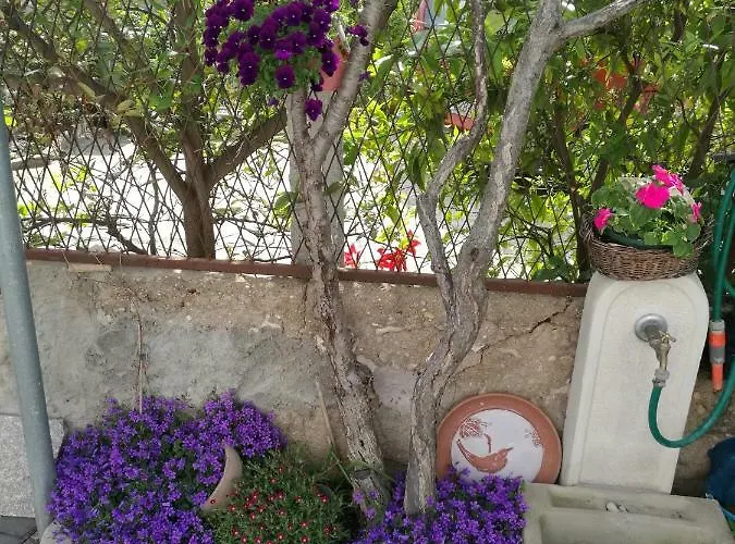 Apartament Vesna Zadar